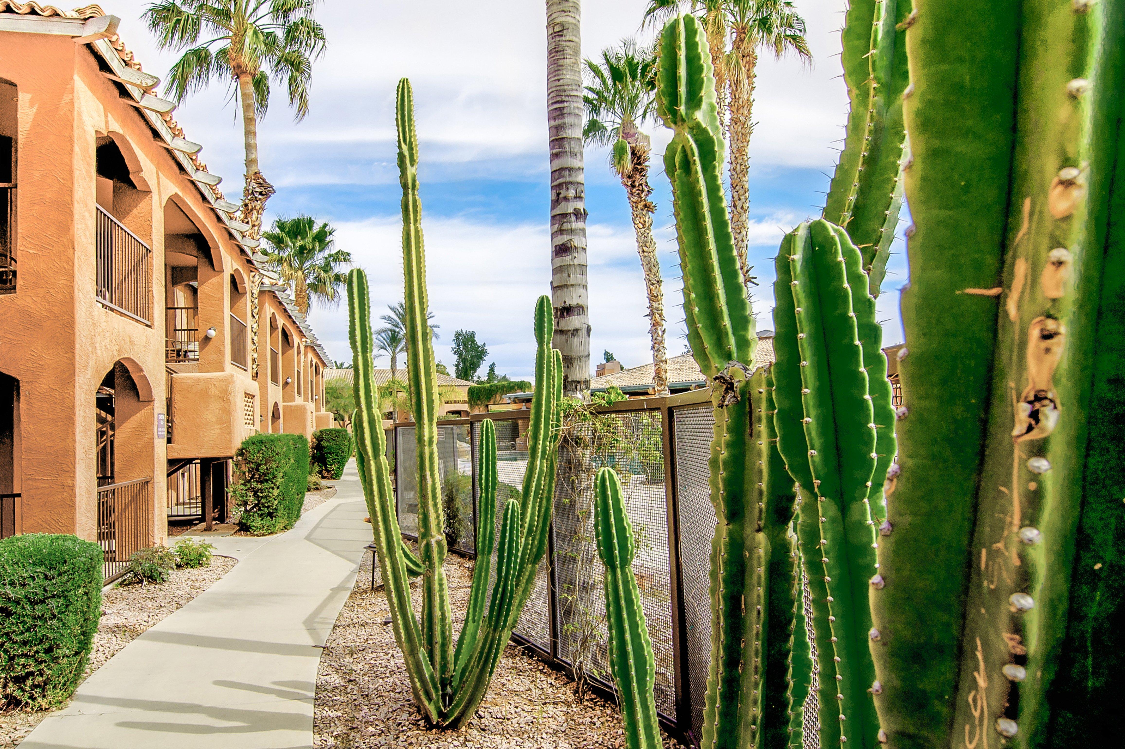 Holiday Inn Club Vacations Scottsdale Resort Zewnętrze zdjęcie